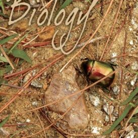 CLASS 11 NCERT BIOLOGY